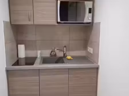 location meublée appartement 1 pièce 17 m² à bron (69500)  580 €