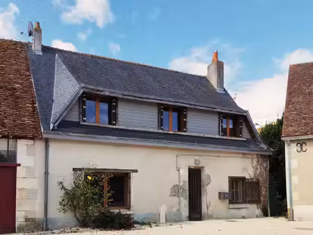 maison à vendre 2/3 chambres moulins sur cephons (36)