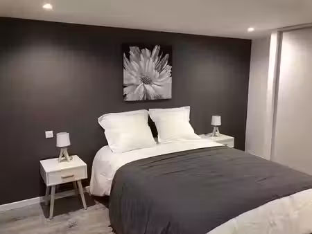 location appartement 2 pièces 57 m² à villeurbanne (69100)  577 €