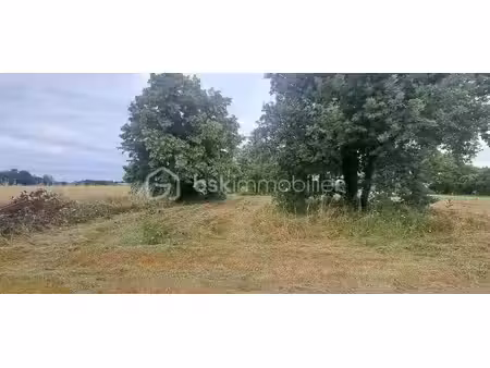 parcelle constructible avec dépendance