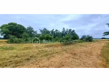 terrain constructible