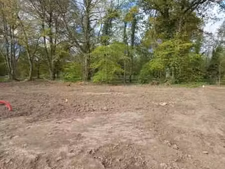 vente terrain au hinglé (22100) : à vendre / le hinglé