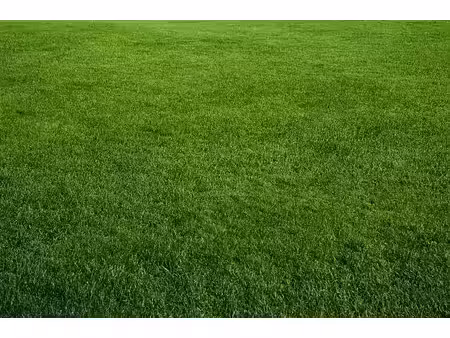 vente terrain 376 m² à guilvinec (29730)  45 000 €