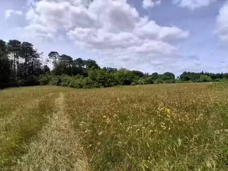 vente terrain 3221 m² à montagnac-la-crempse (24140)  29 500 €
