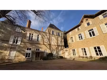 duplex de luxe de 4 pièces en vente chasselay  france