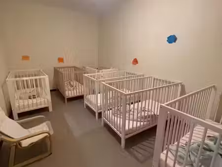 vente locaux professionnels 5 pièces 130 m² à seclin (59113)  273 000 €