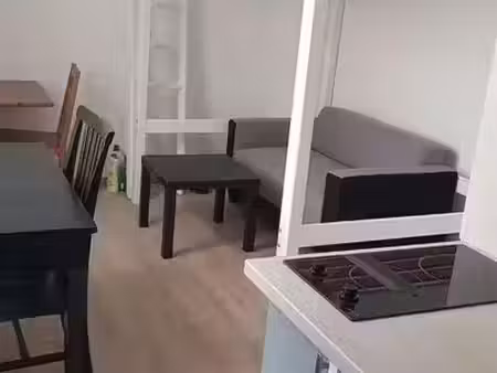 location appartement 1 pièce 17 m² à nancy (54000)