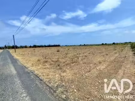 vente terrain à salses-le-château (66600) : à vendre / 32300m² salses-le-château