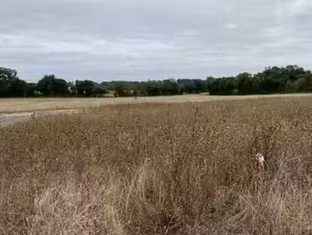 vente terrain à vallans (79270) : à vendre / vallans