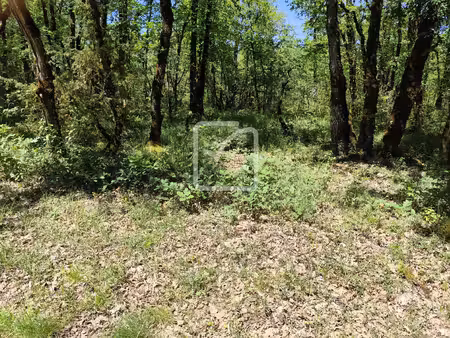 parcelle de 2560 m2 en partie constructible