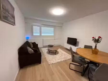 location appartement 1 pièce 13 m² à schiltigheim (67300)