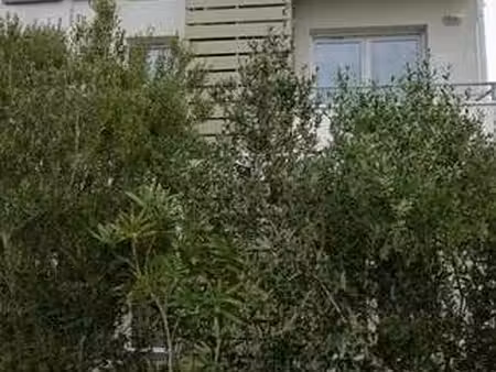 location appartement t1 meublé à périgny (17180) : à louer t1 meublé / 12m² périgny