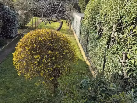 terrain à bâtir