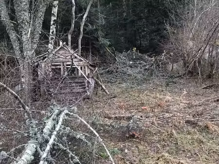 terrain à louer (chevaux / ânes ou potager uniquement)