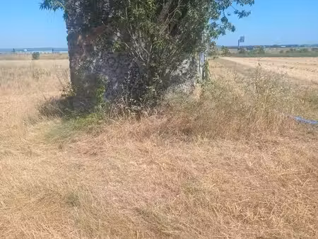 terrain agricole 4716 m2
