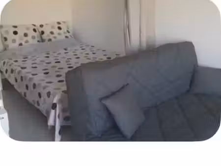 studio afa année scolaire ou mois