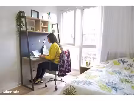 studio 1 pièce 17 m²
