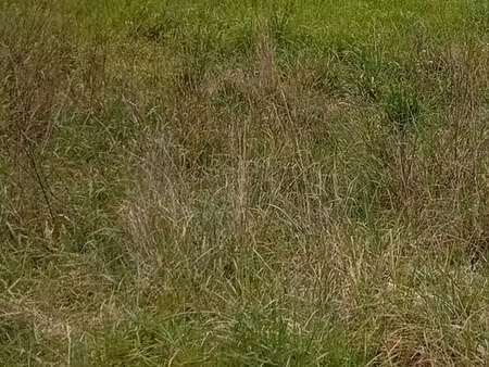 terrain agricole loisirs