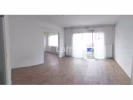 lamy location
