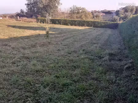 terrain constructible
