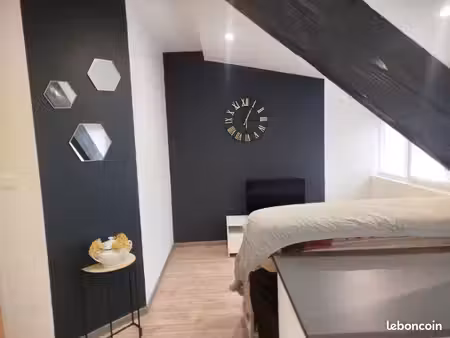 bel appartement meublé 25m2 au centre ville