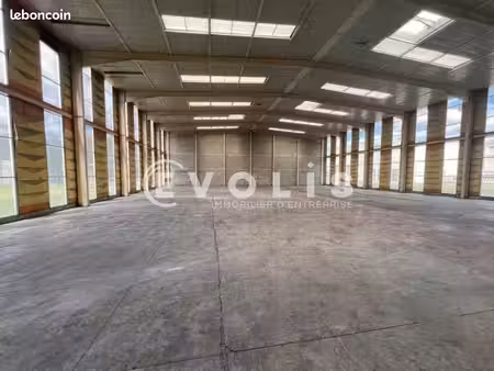 local logistique 1 000 m²