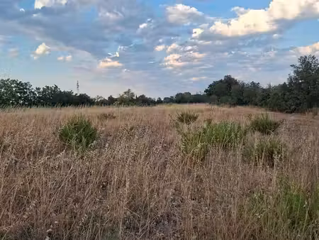 terrain agricole ou loisir