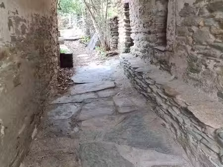 maison de village corse centuri - cannelle 20238