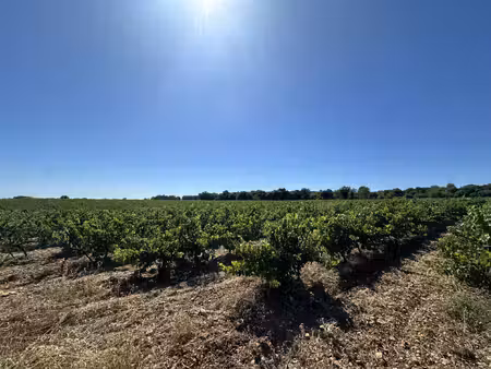 terrain agricole 60520m2 fontanes