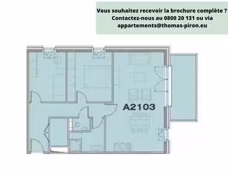 ◊ actuellement : conditions exclusives !◊