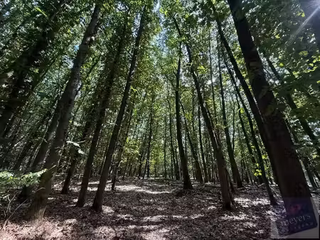 terrain à vendre à houthalen € 5.950 (lr7ex) - meyers vastgoed | zimmo