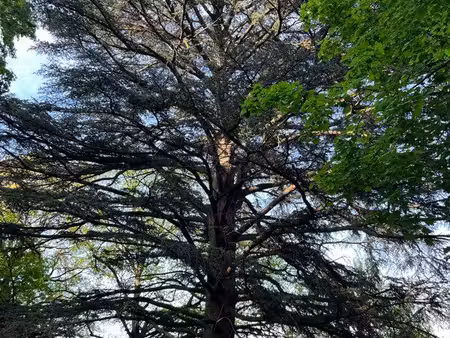 domaine forestier privé de 5 ha aux portes de lyon – collonges-au-mont-d’or