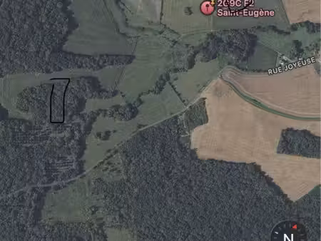 terrain et bois