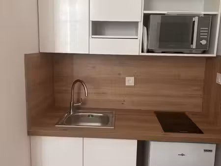 studio meublé rénové – proche place carnot