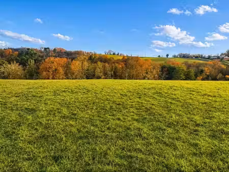 vente terrain 4500 m² à trélissac (24750)  80 000 €