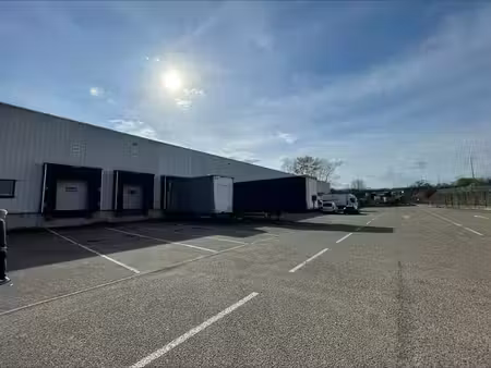 entrepôt à louer