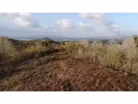 terrain constructible