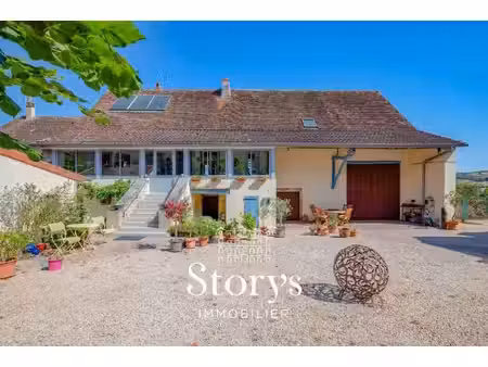 story's immobilier