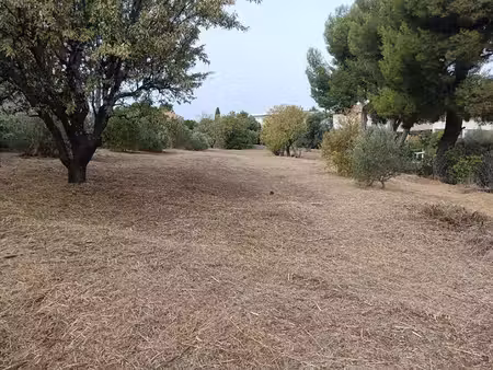 terrain à vendre