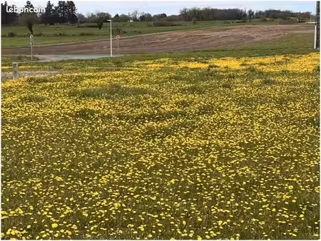 terrain à bâtir de 895 m2 au prix de 30430 à angouleme (16)