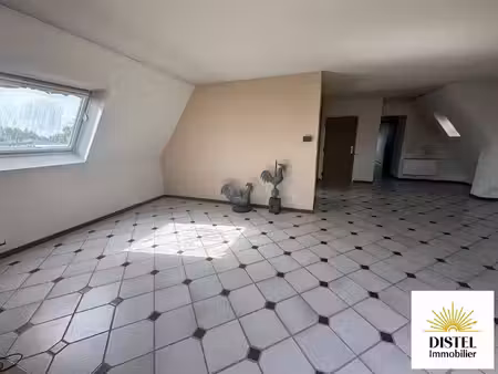 distel immobilier