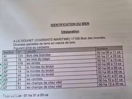 parcelles de bois