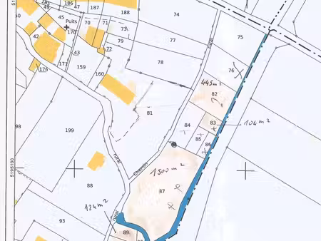 bois taillis 550 m2