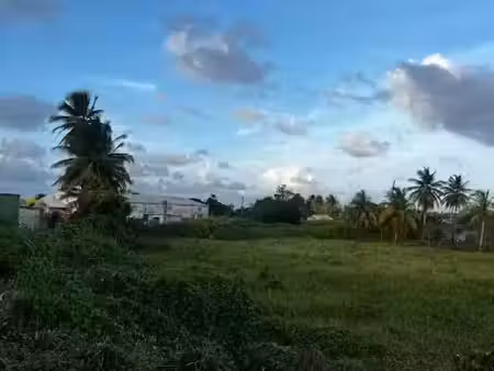 vente terrain 1732 m² à morne a l'eau (97111)  150 000 €