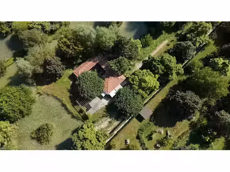 vente terrain 50000 m² à cahuzac-sur-vère (81140)  275 000 €