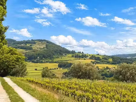 vente terrain 522 m² à le castellet (83330)  290 000 €