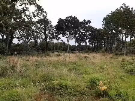 vente terrain 450 m² à pont-l'abbé (29120)  80 900 €