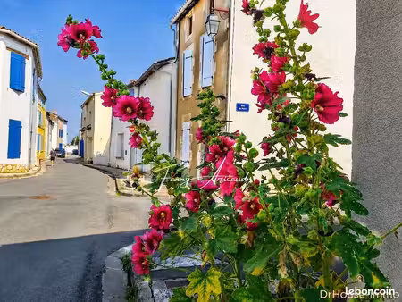 maison de ville 4 pièces 121 m²