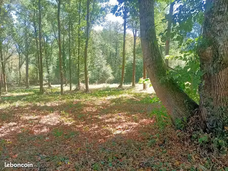 terrain de loisirs 3 287 m² – jars (18260) – nature  calme et tranquillité – 7 500