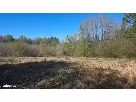 terrain 3 006 m² estivaux